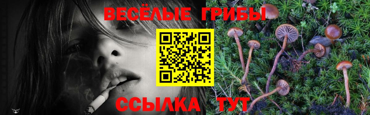 Псилоцибиновые грибы мицелий  Галлюциногенные грибы Magic Shrooms  Вход с VPN  Павлово 