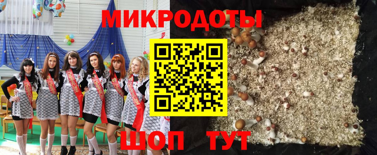 Псилоцибиновые грибы мухоморы Павлово